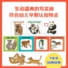 动物宝宝和妈妈(全7册) 商品缩略图2