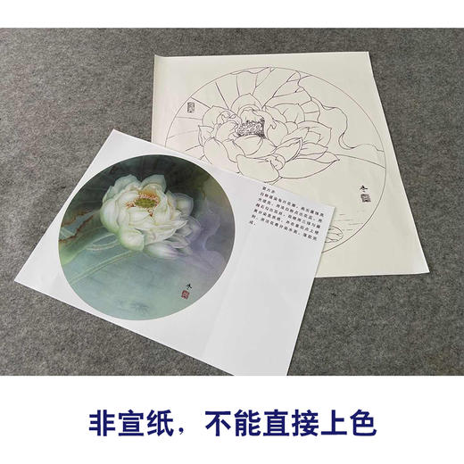 【有步骤、大彩图】杨冬冬工笔画白描底稿圆形小品《娇影》荷花初学者临摹花鸟线稿HD37 商品图2