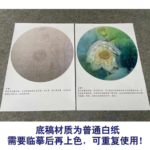【有步骤、大彩图】杨冬冬工笔画白描底稿圆形小品《宛然》荷花初学者临摹花鸟线稿HD36 商品图3