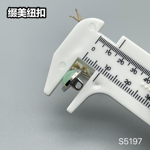 S5197(整包购买) 商品图13