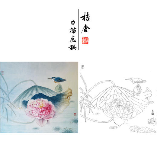 【有步骤、大彩图】杨冬冬工笔画白描底稿斗方小品《池上仙子》荷花翠鸟初学者临摹花鸟线稿HD46 商品图0