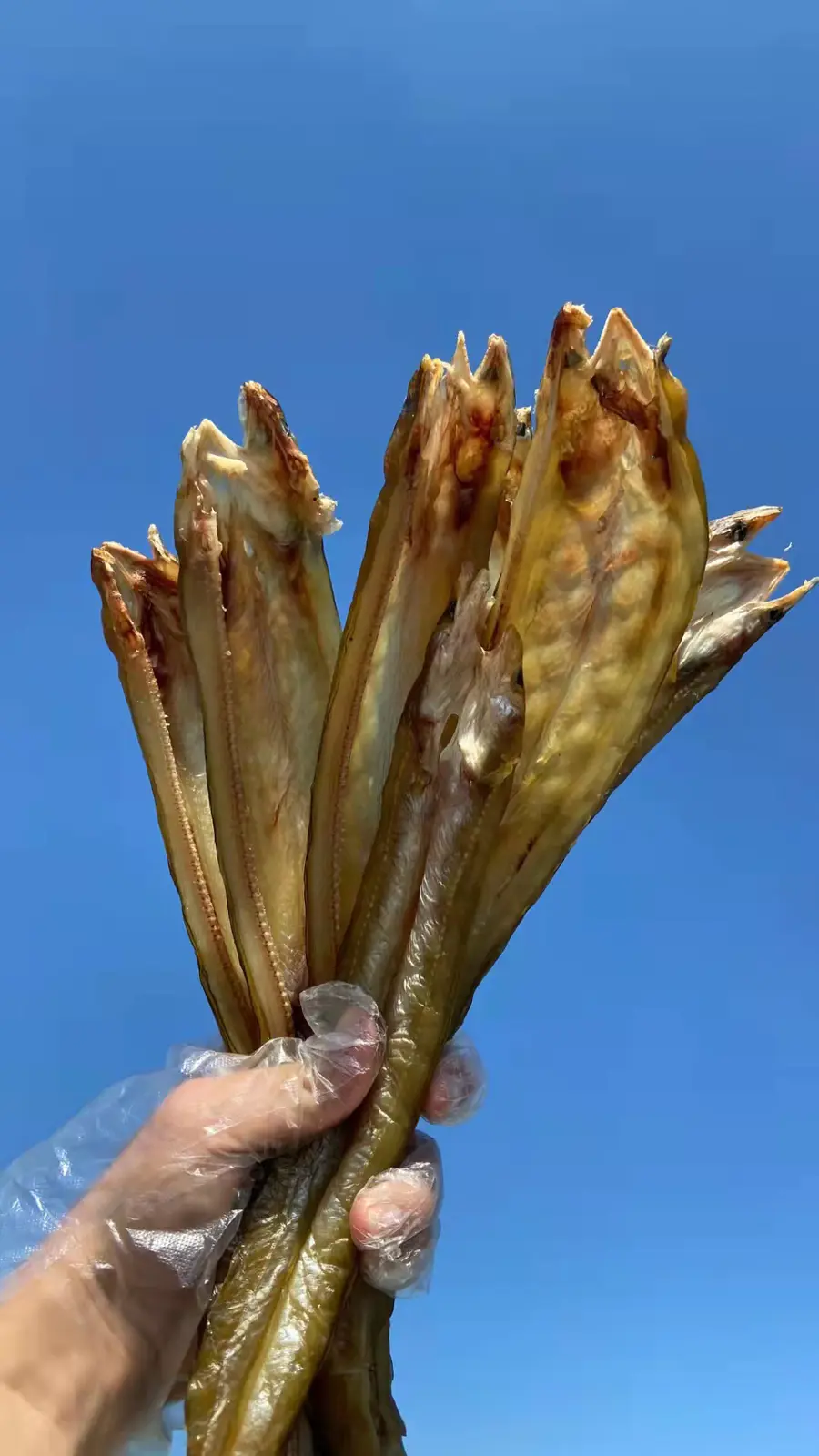 沙鳗鲞2斤