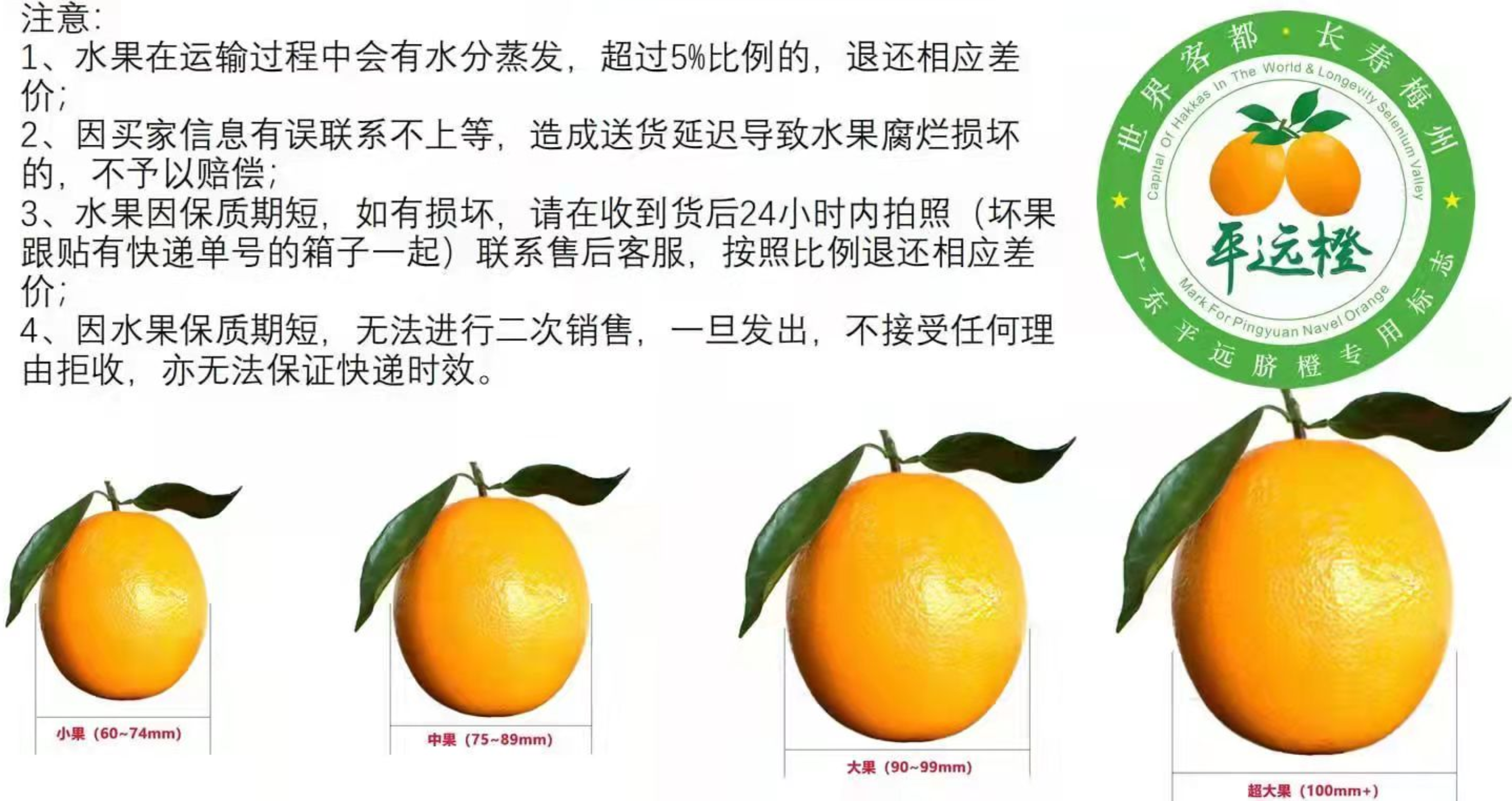 【平远脐橙】新鲜应季现摘 肉质脆嫩 香甜无渣 风味独特 产地直发包邮