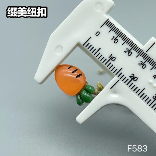 F583(整包购买) 商品图5
