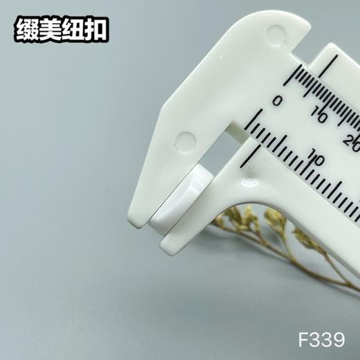 F339(整包购买) 商品图5
