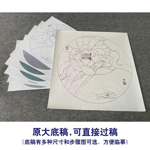 【有步骤、大彩图】杨冬冬工笔画白描底稿圆形小品《娇影》荷花初学者临摹花鸟线稿HD37 商品图1