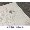 【有步骤、大彩图】杨冬冬工笔画白描底稿宫扇小品《濯濯清华》荷花初学者临摹花鸟线稿HD42 商品缩略图4