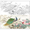 【有步骤】陈军横幅工笔花鸟画白描底稿《玉羽生辉富贵满堂》孔雀牡丹初学者临摹花鸟线稿CJ40 商品缩略图0