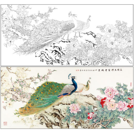 【有步骤】陈军横幅工笔花鸟画白描底稿《玉羽生辉富贵满堂》孔雀牡丹初学者临摹花鸟线稿CJ40 商品图0
