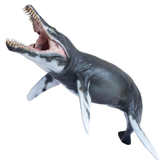 PNSO克柔龙杰夫海洋博物馆1比35科学艺术模型 商品图4