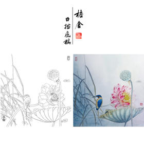 【有步骤、大彩图】杨冬冬工笔画白描底稿斗方小品《倩影摇波》荷花翠鸟初学者临摹花鸟线稿HD44