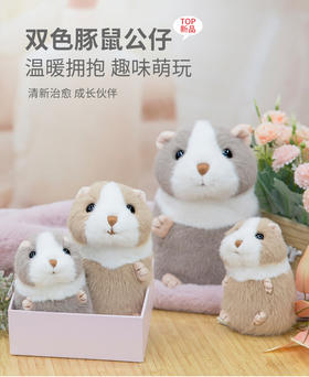 伽百利/Gabriel毛绒玩偶豚鼠公仔陪伴睡觉抱枕小仓鼠女孩礼物
