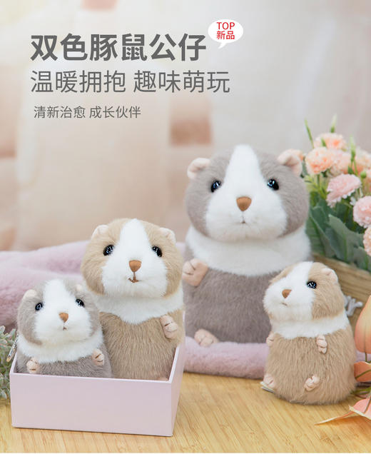 伽百利/Gabriel毛绒玩偶豚鼠公仔陪伴睡觉抱枕小仓鼠女孩礼物 商品图0