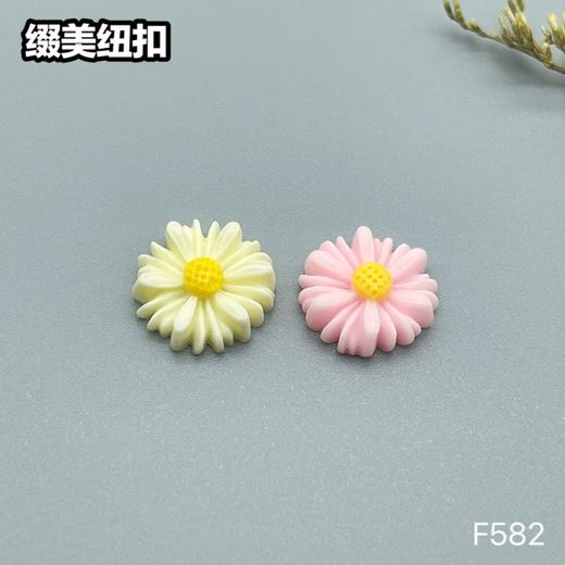 F582(整包购买) 商品图2