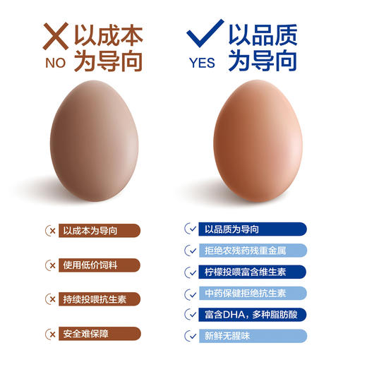 周甲柠檬蛋－无菌蛋礼盒 商品图2