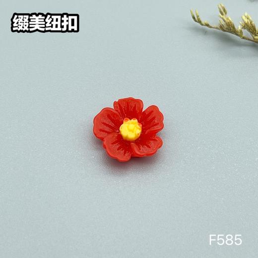 F585(整包购买) 商品图2