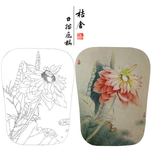 【有步骤、大彩图】杨冬冬工笔画白描底稿宫扇小品《濯濯清华》荷花初学者临摹花鸟线稿HD42 商品图0