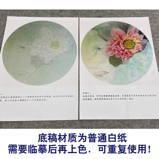 【有步骤、大彩图】杨冬冬工笔画白描底稿圆形小品《蝶慕》荷花蝴蝶初学者临摹花鸟线稿HD29 商品图3