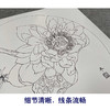 【有步骤、大彩图】杨冬冬工笔画白描底稿圆形小品《蝶慕》荷花蝴蝶初学者临摹花鸟线稿HD29 商品缩略图4