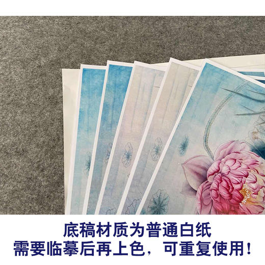【有步骤、大彩图】杨冬冬工笔画白描底稿斗方小品《池上仙子》荷花翠鸟初学者临摹花鸟线稿HD46 商品图3