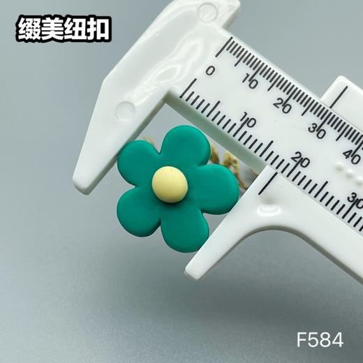 F584(整包购买) 商品图9