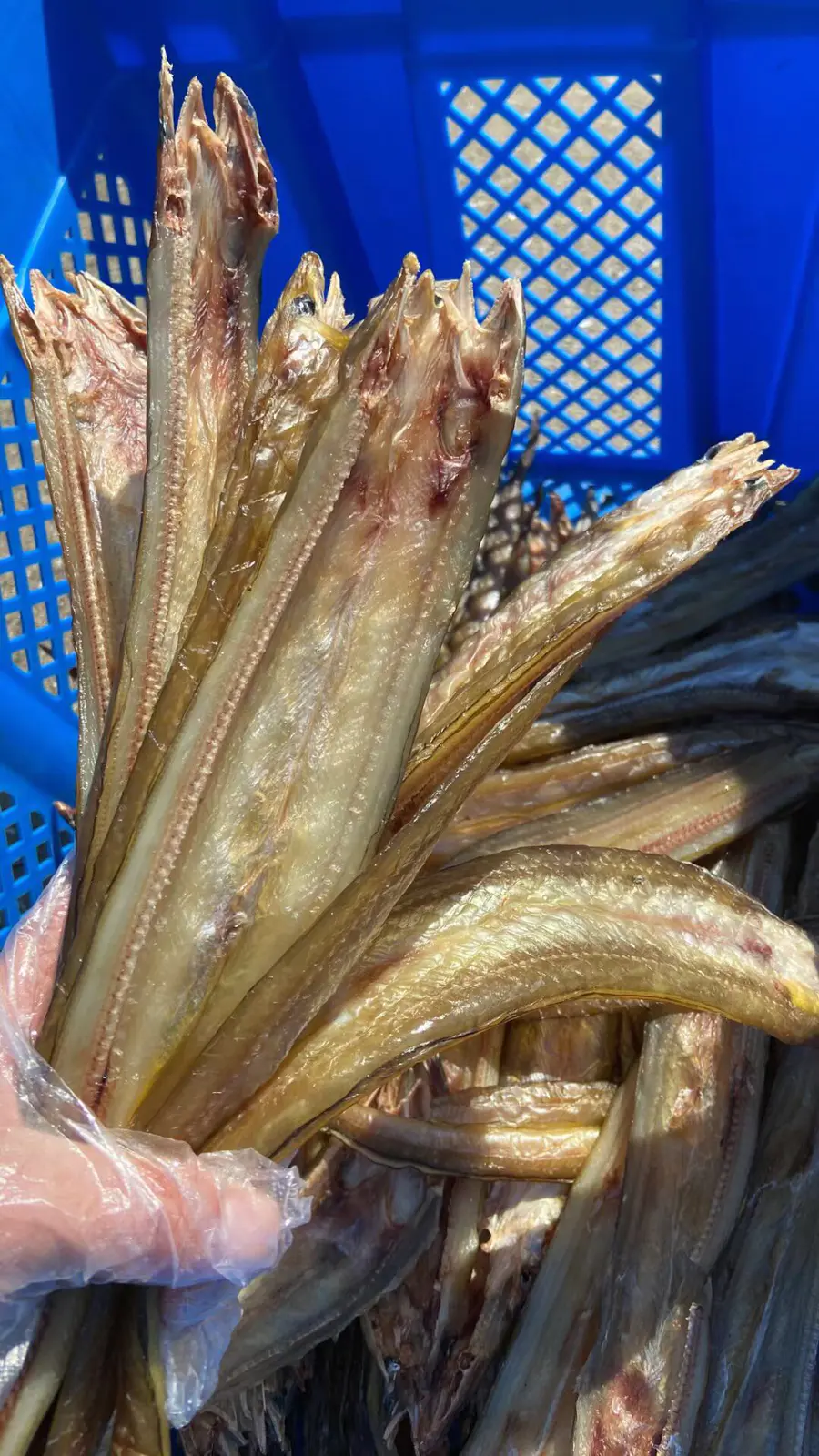 沙鳗鲞2斤