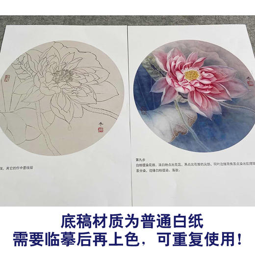 【有步骤、大彩图】杨冬冬工笔画白描底稿圆形小品《梦蝶》荷花初学者临摹花鸟线稿HD34 商品图3