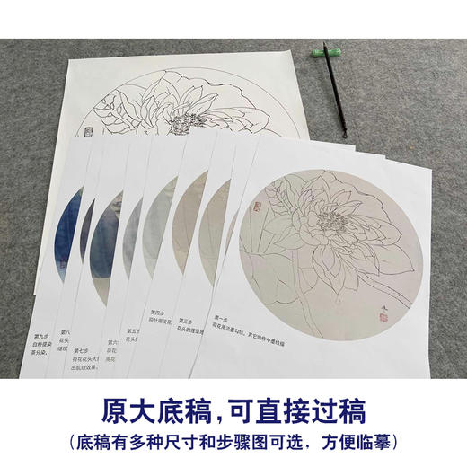 【有步骤、大彩图】杨冬冬工笔画白描底稿圆形小品《梦蝶》荷花初学者临摹花鸟线稿HD34 商品图1