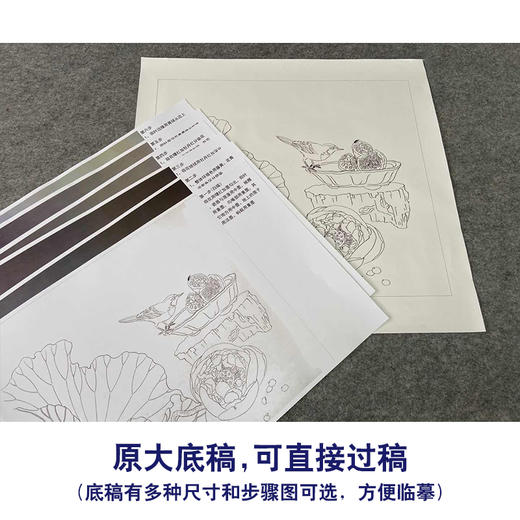 【有步骤、大彩图】杨冬冬工笔画白描底稿斗方小品《一帘清香》荷花鹡鸰鸟初学者临摹花鸟线稿HD43 商品图1