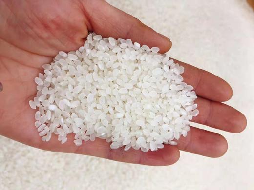 长粒香大米20斤（拼团） 商品图1