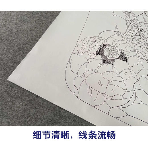 【有步骤、大彩图】杨冬冬工笔画白描底稿宫扇小品《亭亭玉立》荷花初学者临摹花鸟线稿HD41 商品图4