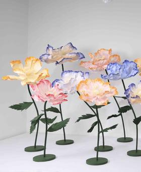 虞美人【运费自理】