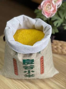 2025新米 沂蒙山蕃田·良谷小米色泽均匀饱满圆润干净无杂原色原香 5斤装/袋