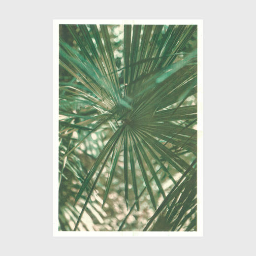 咖啡漂流计划：南高峰 商品图1