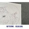 【有步骤、大彩图】杨冬冬工笔画白描底稿圆形小品《雨后》牡丹蝴蝶初学者临摹花鸟线稿HD39 商品缩略图4