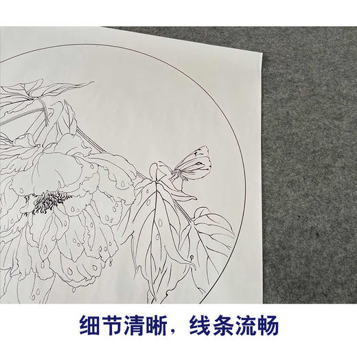 【有步骤、大彩图】杨冬冬工笔画白描底稿圆形小品《雨后》牡丹蝴蝶初学者临摹花鸟线稿HD39 商品图4