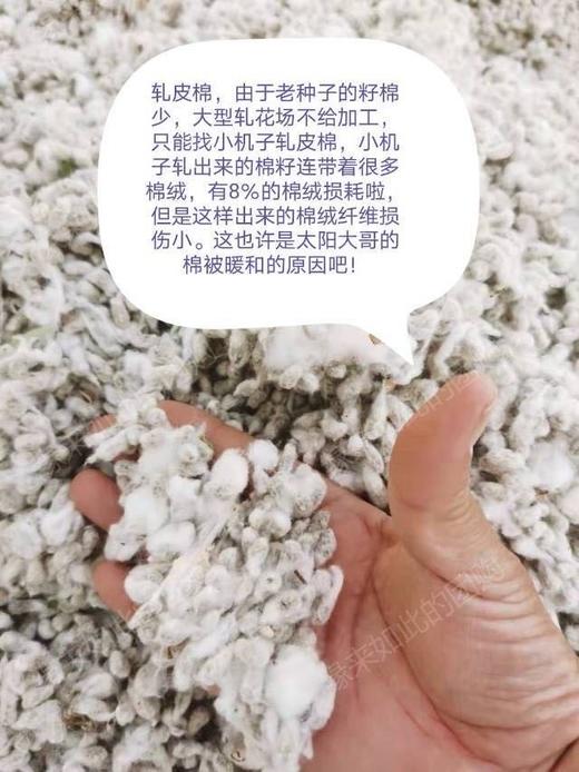老种子生态棉花被、棉花、老种子 ||  新疆太阳大哥 商品图2