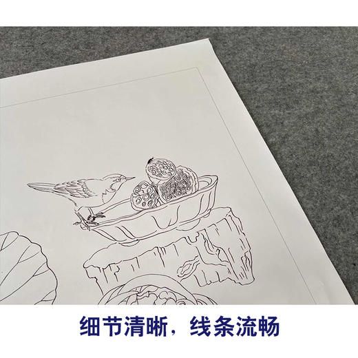 【有步骤、大彩图】杨冬冬工笔画白描底稿斗方小品《一帘清香》荷花鹡鸰鸟初学者临摹花鸟线稿HD43 商品图4
