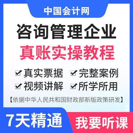 咨询管理行业真账实操课程 商品图0