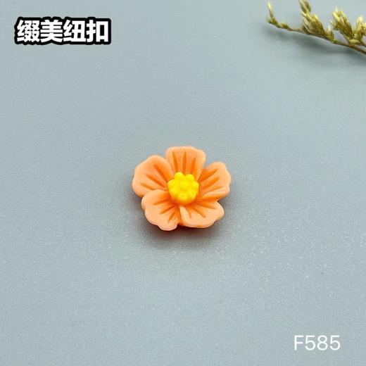 F585(整包购买) 商品图6