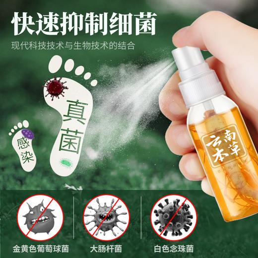 【品牌方直销】纯春堂云南本草足灭士草本喷剂脚气喷剂去脚臭脚痒脱皮脚汗烂脚丫 商品图2