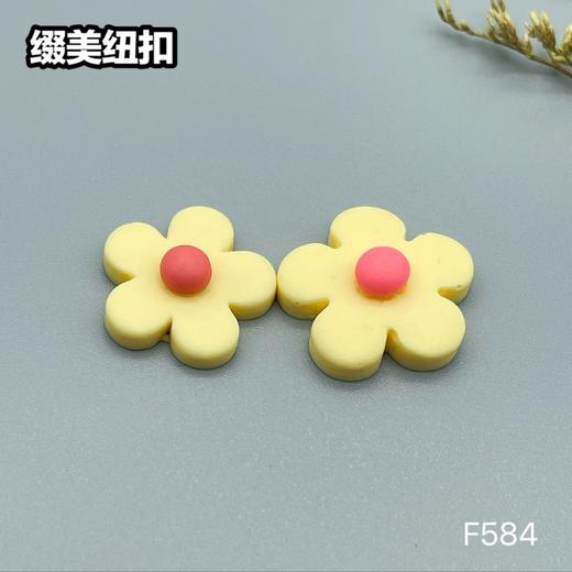 F584(整包购买) 商品图2