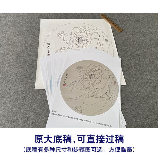 【有步骤、大彩图】杨冬冬工笔画白描底稿圆形小品《娇影》荷花初学者临摹花鸟线稿HD32 商品图1