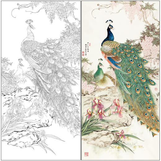 【有步骤】陈军四尺工笔画白描底稿《紫气东来》孔雀初学者临摹花鸟线稿CJ41 商品图0