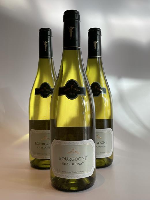拉夏布利斯恩尼酒庄霞多丽白葡萄酒2019 Bourgogne Chardonnay white La Chablisienne 商品图1