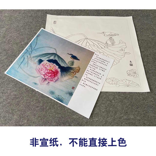 【有步骤、大彩图】杨冬冬工笔画白描底稿斗方小品《池上仙子》荷花翠鸟初学者临摹花鸟线稿HD46 商品图2