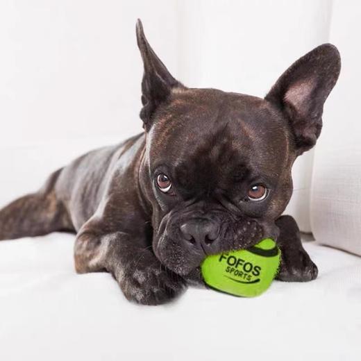 两只福狸网球 商品图2