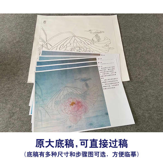 【有步骤、大彩图】杨冬冬工笔画白描底稿斗方小品《池上仙子》荷花翠鸟初学者临摹花鸟线稿HD46 商品图1