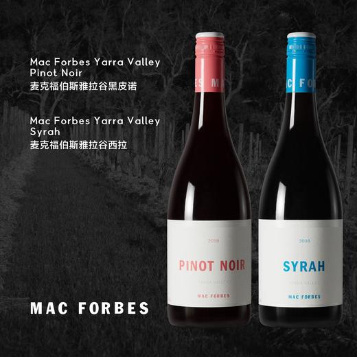 澳洲自然派先锋麦克福伯斯雅拉谷西拉干红葡萄酒 Mac Forbes Yarra Valley Syrah 商品图1