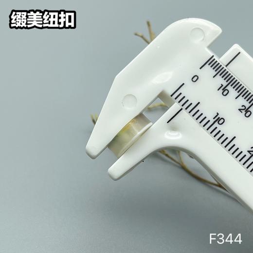 F344(整包购买) 商品图5